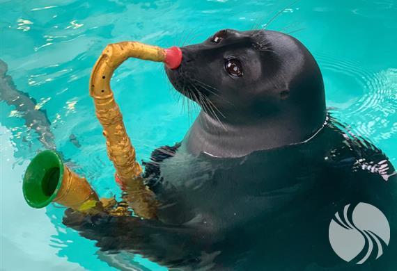 贝加尔湖海豹水族馆